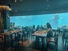 -海棠湾洲际-涛·海底餐厅·美人鱼·自助餐·海底隧道