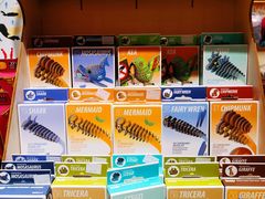 -百新书局(尚悦湾店)