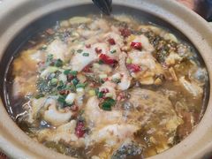 -小钱鱼馆(富春路店)