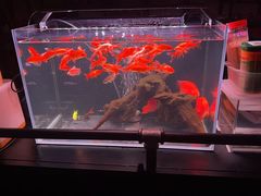 -佳兴饭店(荣川路店)