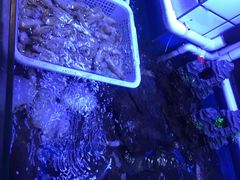 -路边摊小炉子烧烤