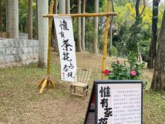 -深圳国际园林花卉博览园