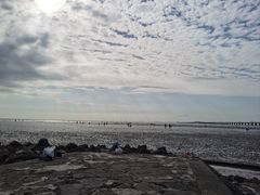 -南汇新城海滩
