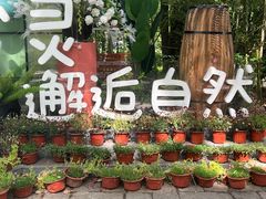 -同里国家湿地公园