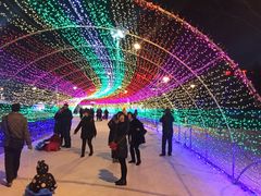 -沈阳奥体冰雪嘉年华