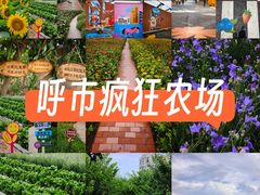 -北国之春国宴(乌兰察布店)