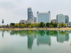 -桂溪生态公园