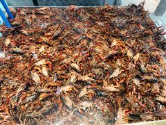 -半岛听涛蒸汽海鲜自助(K11店)