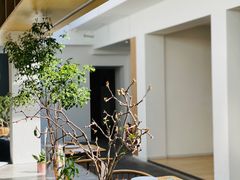 -自如ZSPACE四合院艺术餐厅