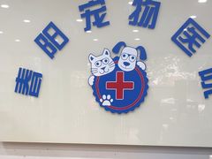-暖阳宠物医院·犬猫康复中心·骨科
