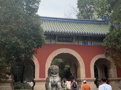 -灵谷景区