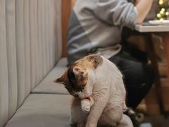 -后海16号·北京私房菜