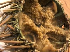 生海胆-海胆小馆(东北水饺·春柳店)