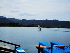-长田漾湿地公园