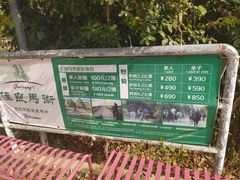 -上海海湾国家森林公园