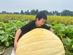 -中国天府农业博览园