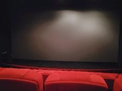 -万达影城(大明宫万达广场IMAX店)