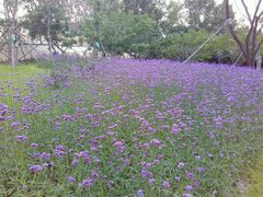 android_upload_pic-长春公园(普阳街道)