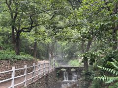 -云丘山景区