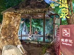 -水底山庄园温泉
