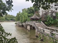 -运河游船(武林门码头)