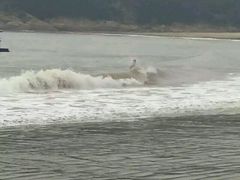 -象山黄金海岸雷迪森酒店