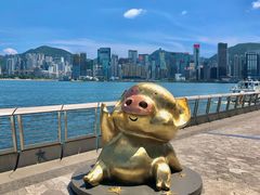 -星光大道