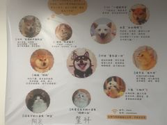 -柴迷FANS CLUB·柴犬狗咖·猫咖