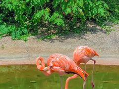 -常州淹城野生动物世界