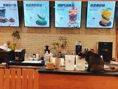 -藏猫猫咖啡主题馆(中央大道店)