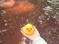 -湖泉半山温泉