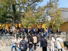 -普陀山慧济禅寺