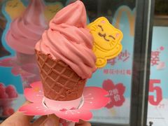 -麦当劳餐厅(龙平西路店)