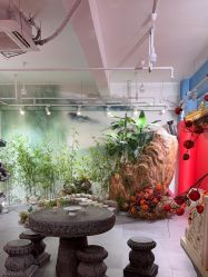 -星豆豆儿童摄影(南郊太白南路店)