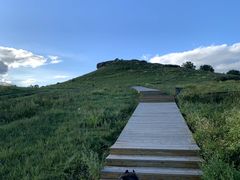 -御道口草原森林风景区