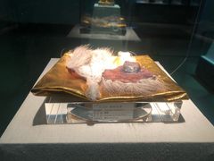 -青藏高原自然博物馆