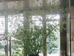 -JW酒廊 JW Lounge(上海鲁能JW万豪侯爵酒店)