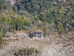 -福建天门山