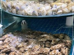 水产区-雅逸居海鲜小厨