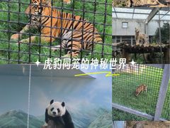 -武汉动物园