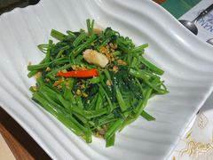 秘制虾酱炒空心菜-帕蓝·暹罗料理(曲阳店)