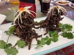 山石脆鳝-玉华台饭庄(裕中西里小区店)