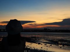 -宝安西湾红树林湿地公园