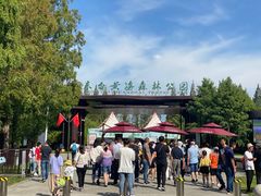 -黄海国家森林公园