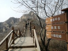 景点-大岭沟猕猴桃谷风景区
