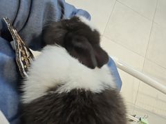 -怪兽屋·羊驼·猫咖·狗咖(俊华广场店)