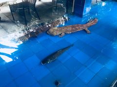 -大口潮边炉中餐火锅