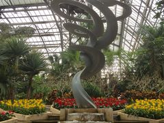 -南山植物园