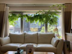 -精德口腔·种植修复·儿牙中心(财富中心店)