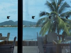 -雾山韩式烤肉·海南糟粕&椰子鸡火锅·海景餐厅(三亚绿发山海天JW万豪酒店)